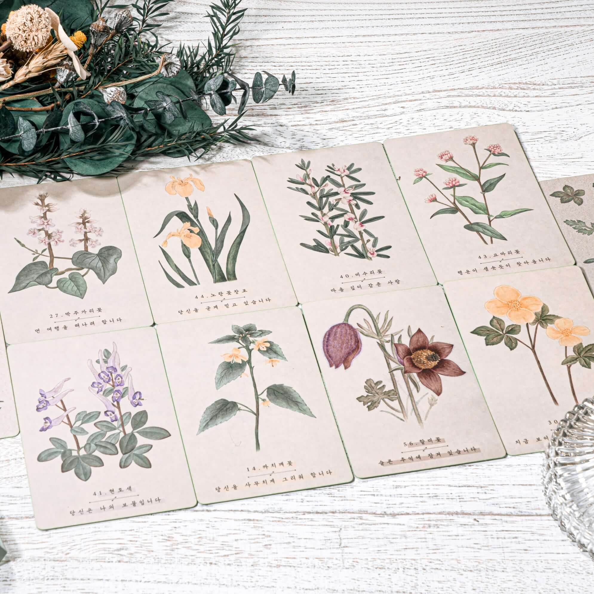 Korean Wildflower Advice Oracle Tarot Cards Sub Image