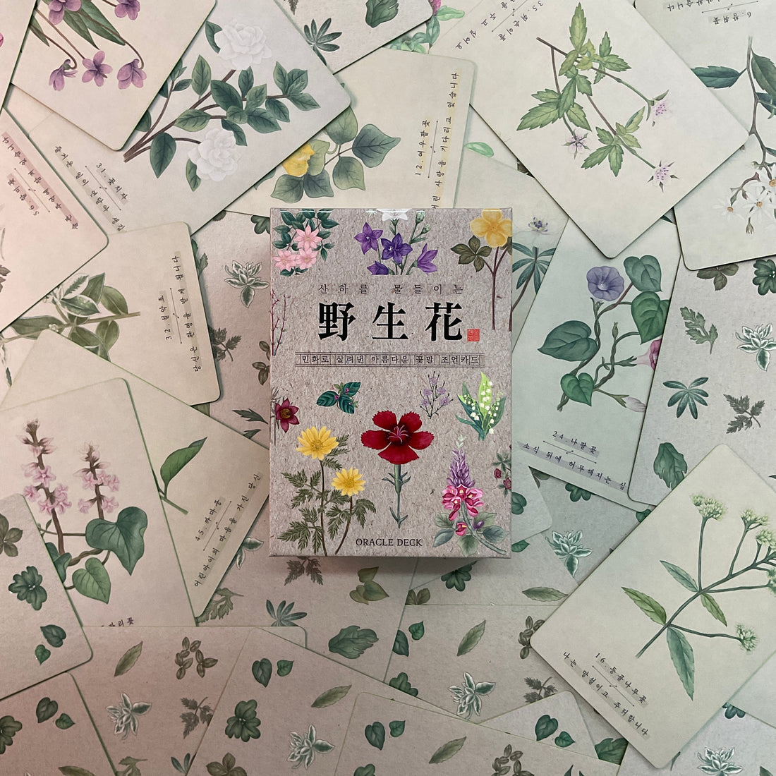 Korean Wildflower Advice Oracle Tarot Cards Main Image
