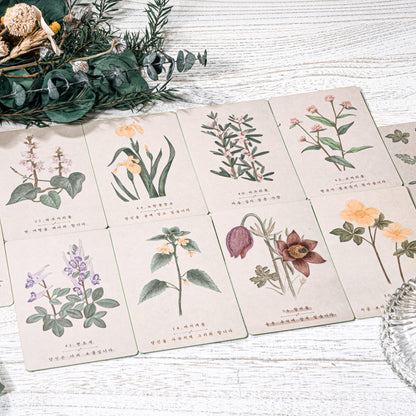Korean Wildflower Advice Oracle Tarot Cards Sub Image